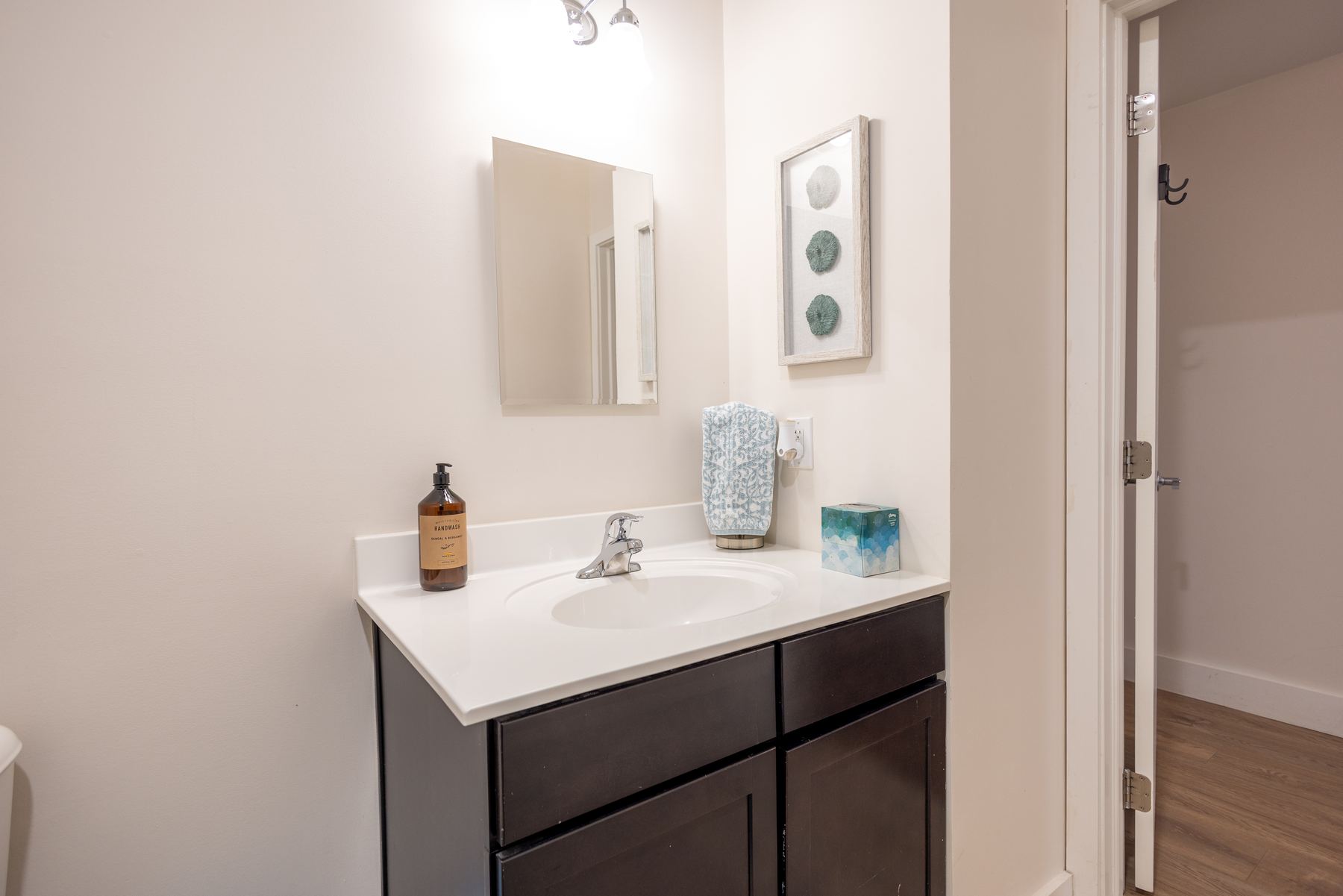 Bathroom vanity with framed mirror